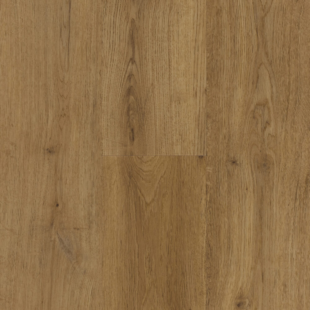 Zenn Plank - Caïro par Berry Alloc