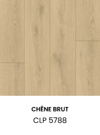 QUICKSTEP Classic Plus - CLP 5788