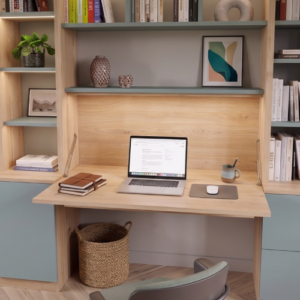 Bibliothèque sous pente par UP Créateur d'Intérieur Le Mans